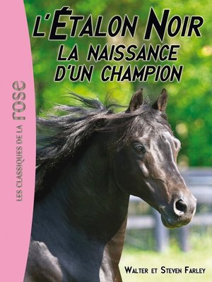 cover image of L'Étalon Noir 19--La naissance d'un champion